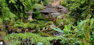 Dukuh Sebatu Villa Ubud - 8