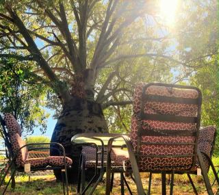 Rosewood Cottage -Entire 2 bedroom home with Netflix & WiFi - 9