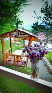 Eco Park Resort in Stepanavan Dendropark - 2