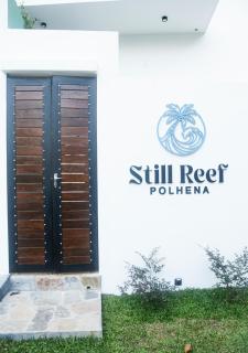 Still Reef - 3