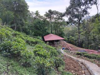Whispering Falls Villa, Laxapana - 1