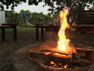 Camping Yellow Plum - 1