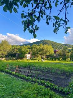 Tun Guest house, Kurtan, Lori Province - 9