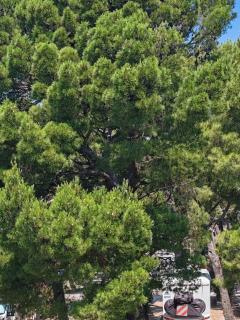 The best location in Makarska,free P,apt Mile,bikes - 9