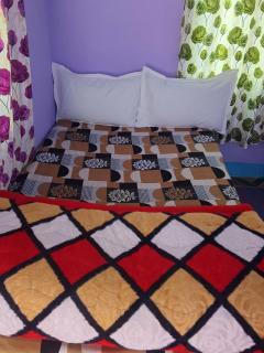 Bansh-Buransh homestay - 6