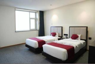 Hotel Prince Castle Delhi - 5