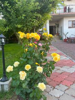 Helen Rooms Vama Veche - 5