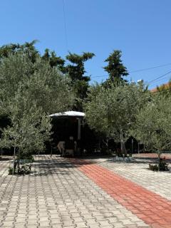 Guesthouse - Durazzo - 4
