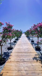 My Sea Escape - 6