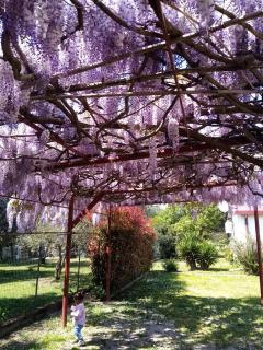 La Casa Gialla Versilia - 1