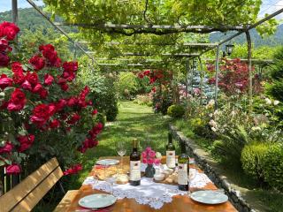 Guest House Gardenia & Wine Cellar - 7