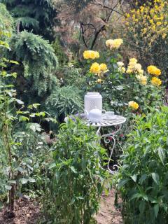 Gardena Rustic - Cabane de lemn - 1