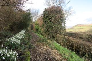 Highfield - Hay-on-Wye - 5