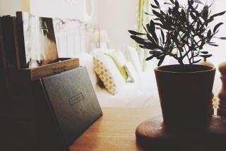 Glanmor Garden Apartment - Swansea - 5