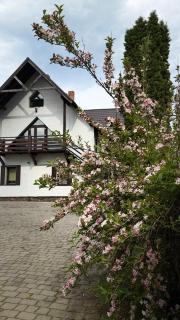 Olko House - 7