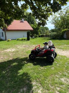 Farma Leśna - 6