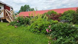 Kolmårdstorpet Blomsätter - 7