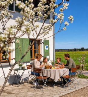 1869 - Zwei neue gemütliche Ferienwohnungen mitten im Allgäu - 4