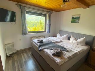 Ferienwohnung im Nationalpark Gesäuse - 1