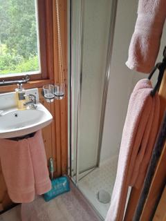 'Morris' the shepherd's hut ,woodland hot tub available, separate fee - 9