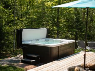 Roitelet Private Hot Tub Luxury Escape, Pool table , Golf & Lake - 4