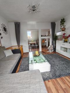 Ferienwohnung mit Elbwiesenblick - 5