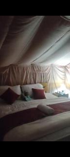 ITW- Into The Wild Camps , Tyakshi , Leh - 2
