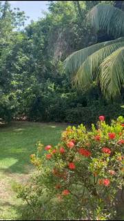Calebasse - 1