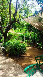 Jungle Palace hostel santaella - 9