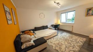 Central House with big courtyard, 4 parking spots - Boekarest - 9