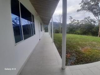 Greenforest - 4