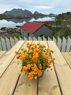 House by the sea, Ballstad Lofoten - 1