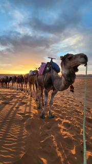 Merzouga Desert Experience & Activities - 1