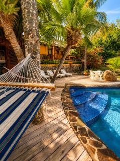 3 Bedroom Villa with Pool and Ocean Views - 5