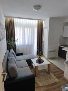 Apartman Škribulja - 9