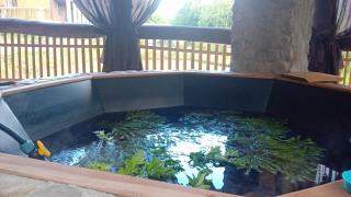 Cottage Shepit Lisu - 4