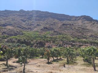 Finca Nim 1 - 7