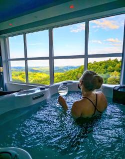 Private wellness with panoramic view, sauna & jacuzzi - Maribor - 8