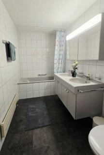 Well Zone Oase Thun-Private Pool-Garden-Sauna-Gym - 1
