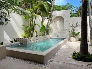 Boutique Private Villa in Hotel Zone - Pool & Outdoor Living - 6