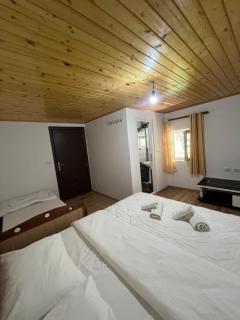 Bujtina Sherifaj - 6