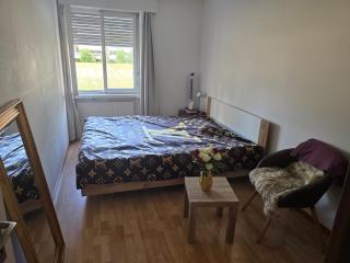 Gemütliches Zimmer in ruhiger Umgebung in Privatwohnung - Lyss - 9