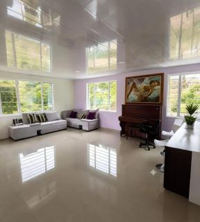 Greenforest - 7