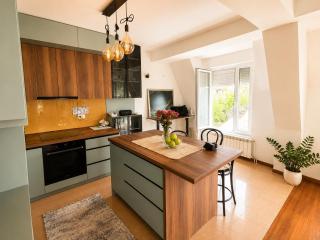 City Center Apartment with Free Parking 300Mbps Mountain View - 8