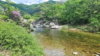 Gapyeong Ipl Valley Pension - 7