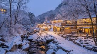 Miryang Tams Farm Caravan Park - 8