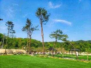 Goseong Lavender Camping Caravan - 7