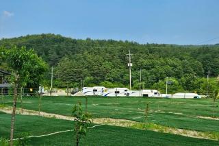 Goseong Lavender Camping Caravan - 5