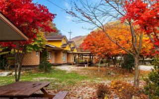 Inje Horang Bau Pension - 5