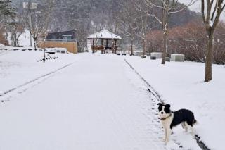 Seocheon Water Willow Pension - 7